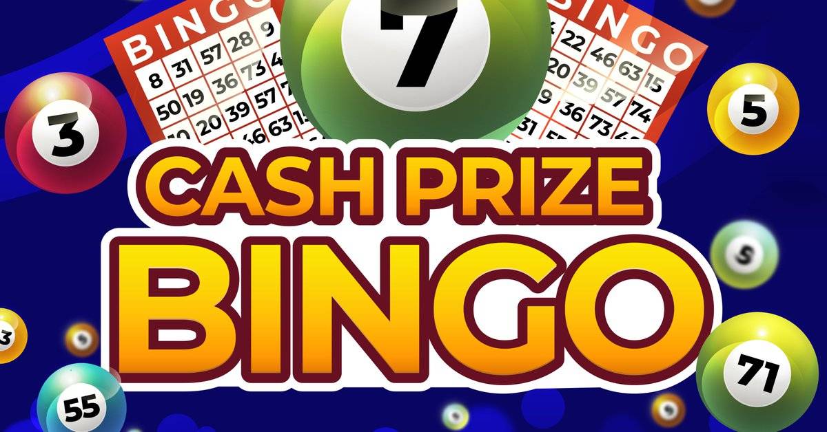 Bingo Cash Promo Code Investing 2.0