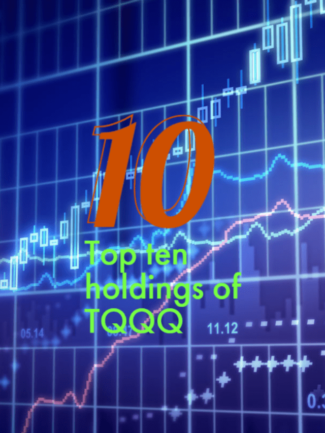 Top 10 holdings for TQQQ
