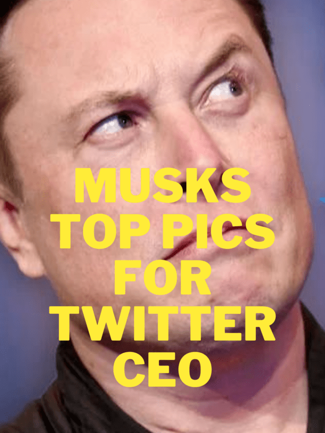 Elon musk’s pick for Twitters CEO