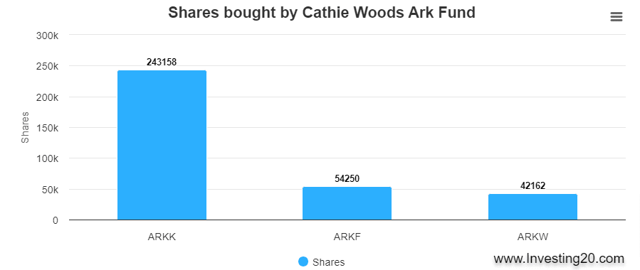 ARK Fund Palantir