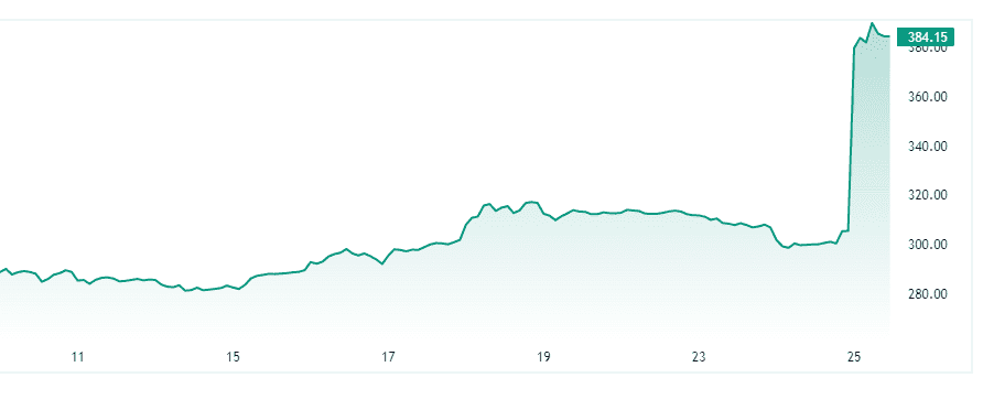 nvidia earnings