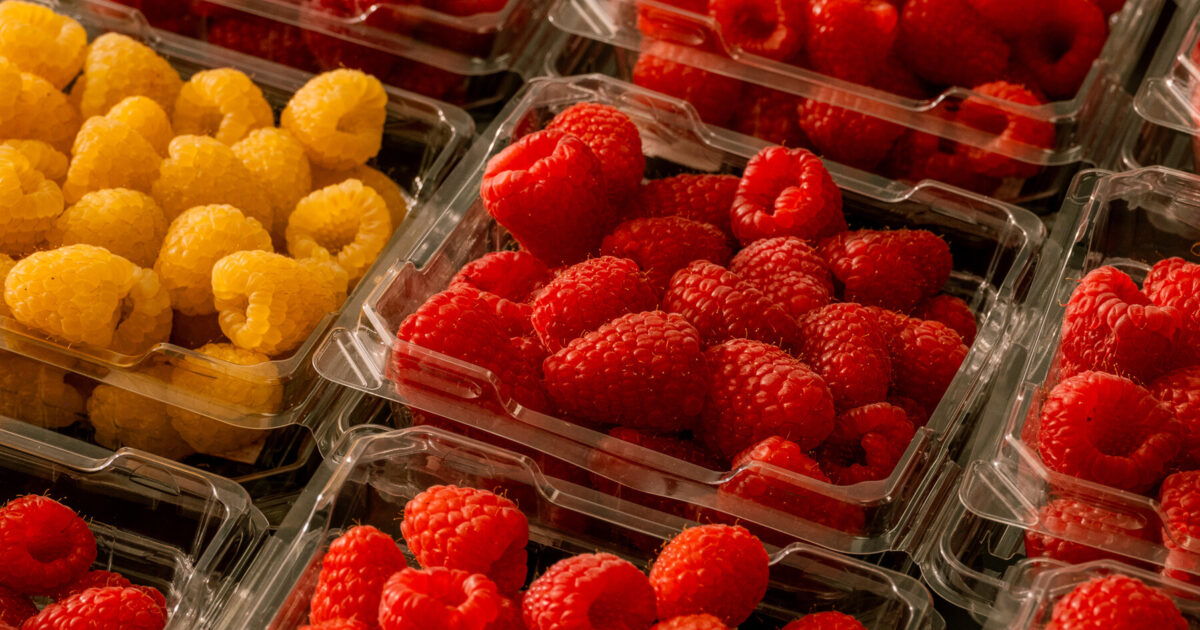 Wall Street Focus: Why Are Berries Everywhere Takes Cente...