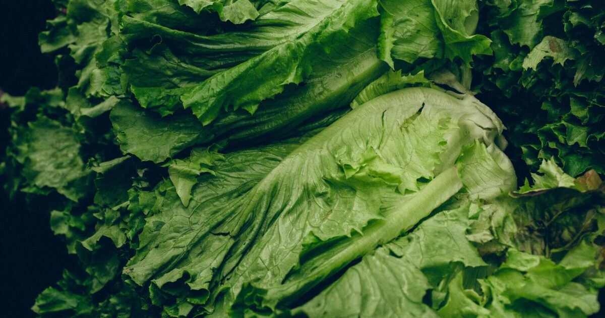 Breaking: Amid Cyclospora Outbreak Developments Impact Fi...
